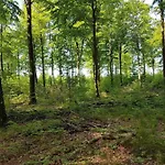 Holiday home 6 Person In Toftlund-by Traum *