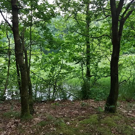 6 Person In Toftlund-by Traum Arrild