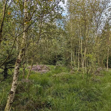 6 Person In Toftlund-by Traum * Arrild