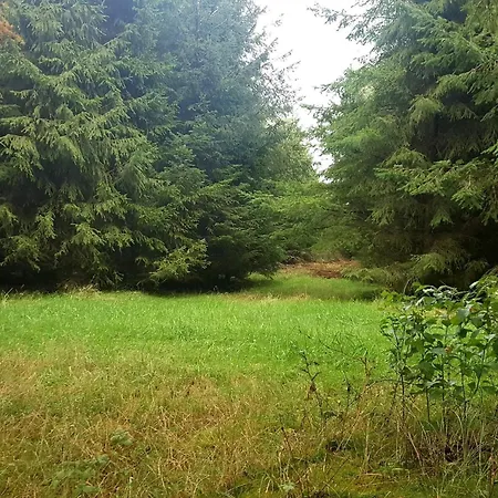 6 Person In Toftlund-by Traum Arrild