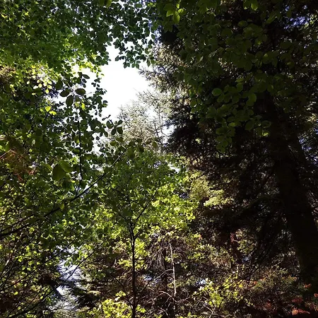 6 Person In Toftlund-by Traum Arrild