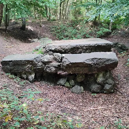 6 Person In Toftlund-by Traum