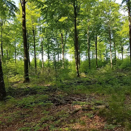 Casa de Férias 6 Person In Toftlund-by Traum *