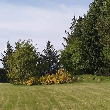 6 Person In Toftlund-by Traum *