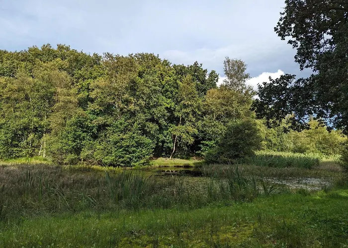 6 Person In Toftlund-by Traum * Arrild