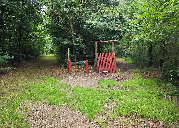 بيت للعطل 6 Person In Toftlund-by Traum *