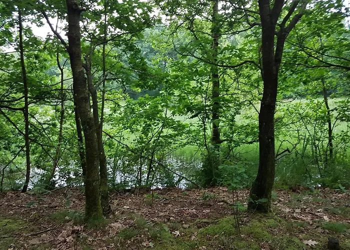 6 Person In Toftlund-by Traum Arrild