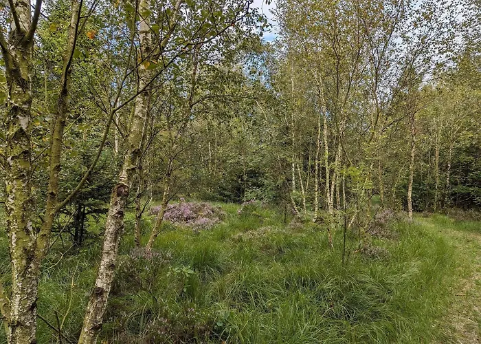 6 Person In Toftlund-by Traum * Arrild