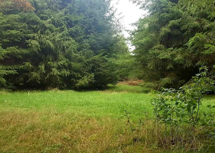 6 Person In Toftlund-by Traum Arrild