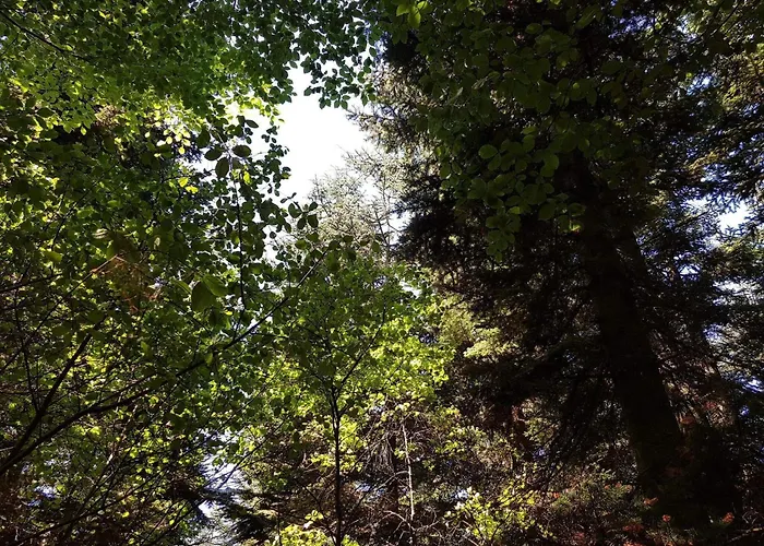 6 Person In Toftlund-by Traum Arrild