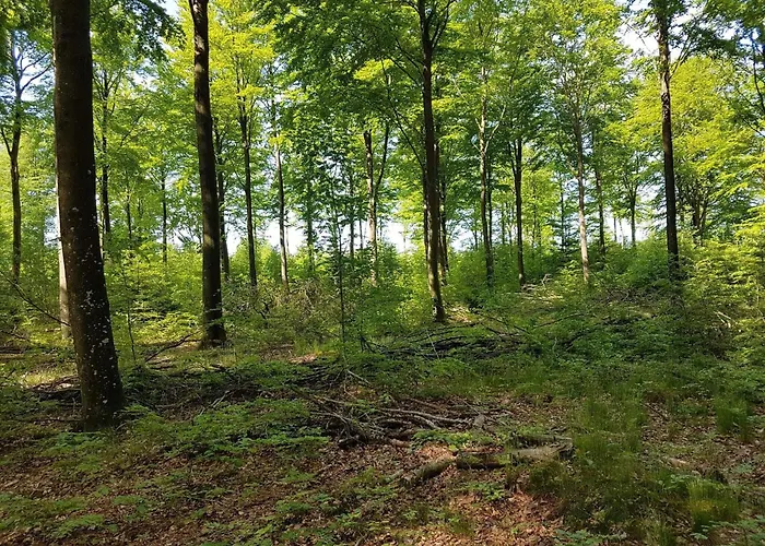 بيت للعطل 6 Person In Toftlund-by Traum *